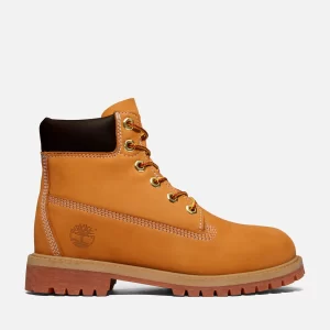 Junior Timberland? Premium 6-Inch Waterproof Boot